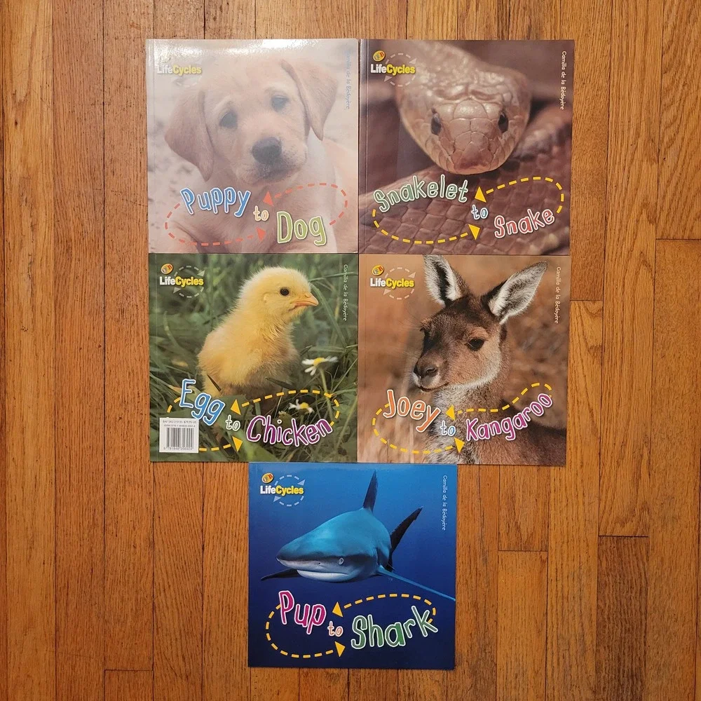 5 QEB LifeCycles Educational Kids Book Set Multicolor Nature Homeschool Learning